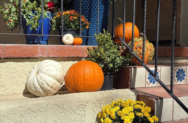 Aspen leaves and porch pumpkins! Welcome to your mini-fall-escape vacation!