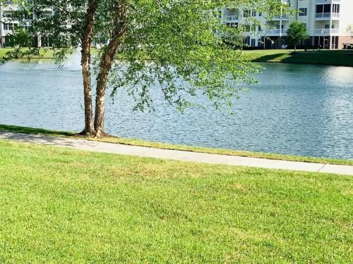 Astonishing view great condo at Myrtlewood Villas