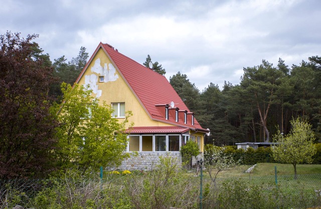 at the edge of the forest, near the beach