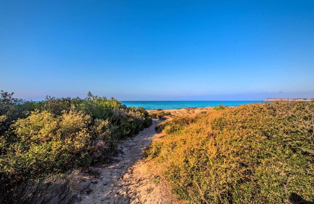 Athena: Scenic Villa near the Sea