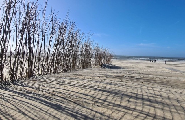 Attractive 4pers. vak. appartementnKop van Noord-Holland