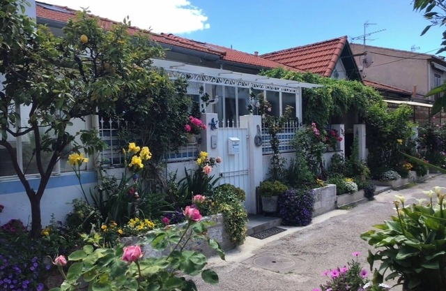 Atypical fisherman's house