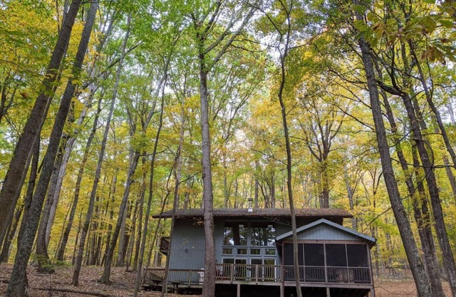 Autumn Wings -wifi, screen porch, pool access, hiking, family friendly