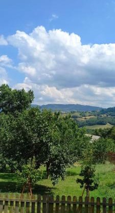 Azienda agrituristica La Borgaccia