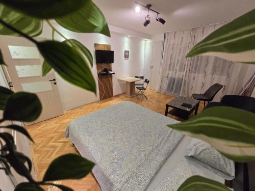 Azzurro Studio Apartment