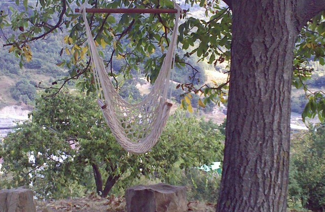 B&B Bosco Dei Cervi