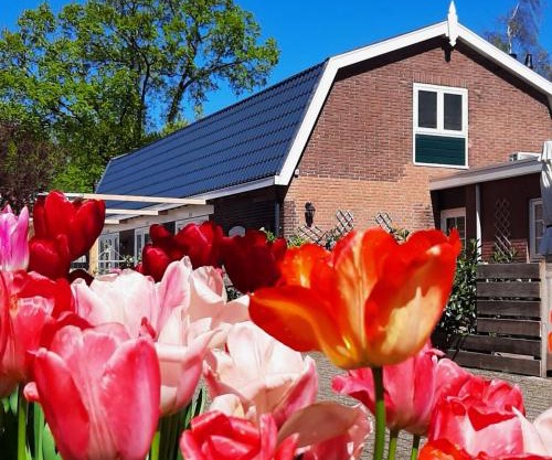 B&B De Hoffstal