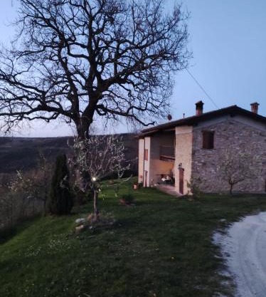 B&B del Fernè