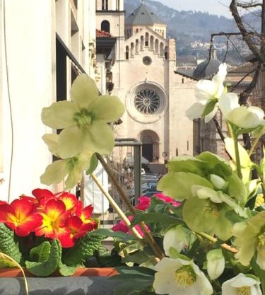 B&B Homer Trento