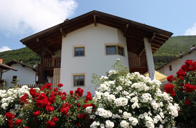 B&B Primavera