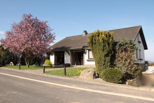 B&B Sol Magnus