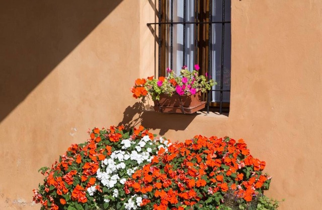 B&B Stradivari