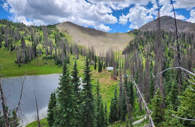 Backcountry Outfitters