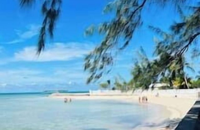 Bahamas Villa Tropical Paradise Oceanview & Private Pool