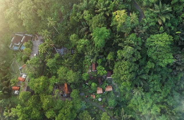 Bali Jungle Resort