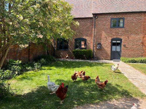 Barn Cottage