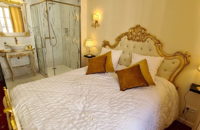 Baroque Style Apartment in Sully-sur-Loire with Air Conditioning