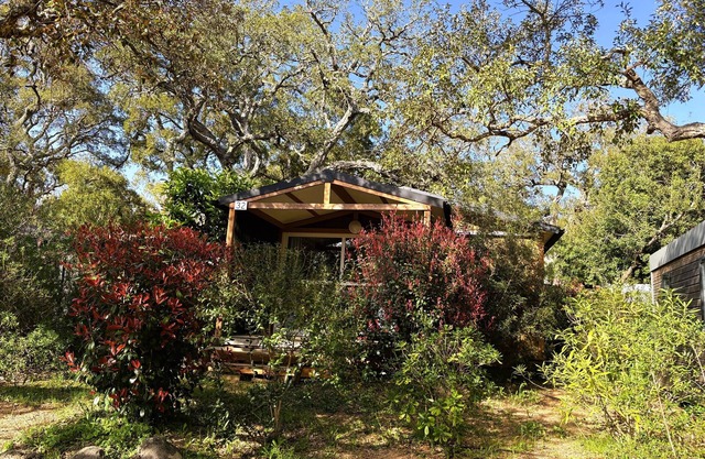Bavella-Chalet-Comfort-Ensuite with Bath-Terrace