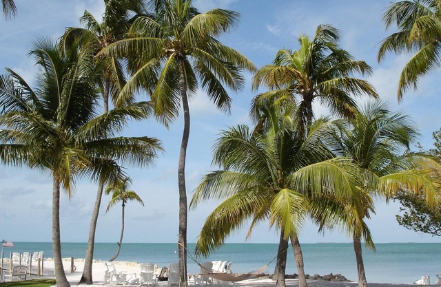 Bayside Paradise: Beach, Heated Pool, Spa, Boat Ramp, Dockage, and Tennis Court