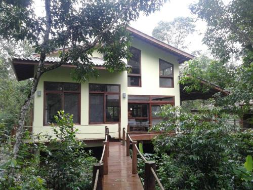 Beach house surrounded by lush nature
