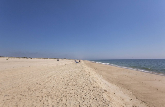 Beach Plum Resort
