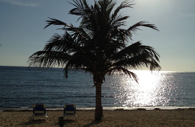 Beachfront 1st Floor Condo - Step off your patio and into paradise!