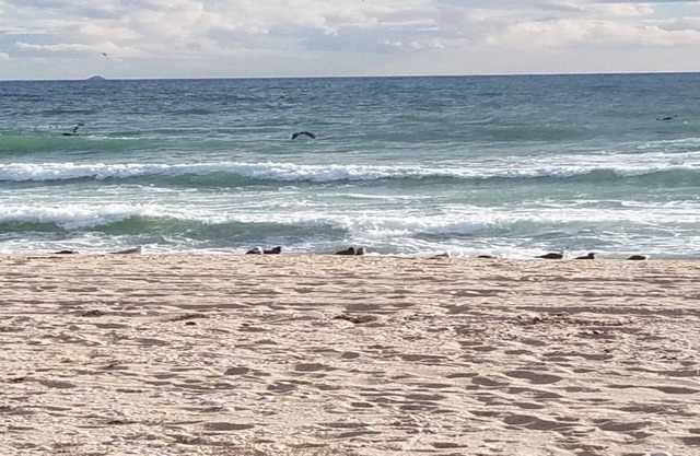 BEACHFRONT 3 BD 3 BATH. Beautifully appointed. High quality beds/mattresses.