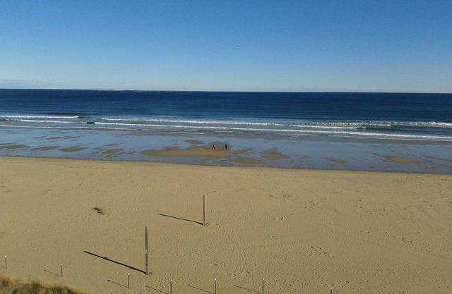 Beachfront Condo with Awesome Views