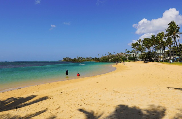 Beachfront Condo! Beautiful Beach!