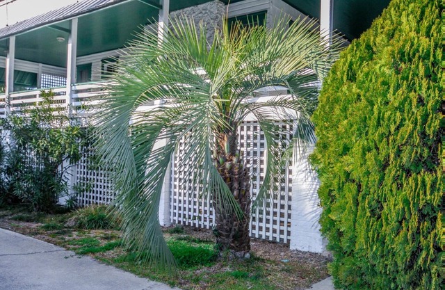 Beachside Hideaway: Cozy Retreat Steps from Tybee’s South Beach