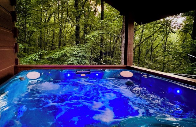 Bear Foot HeavennCabin Retreat in Ga Mountains
