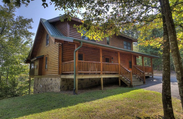 Bears Up There - Need A Little R&R In Your Life?