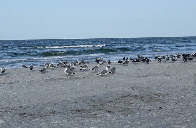 Beautiful 2BD beach house on Anna Maria Island!
