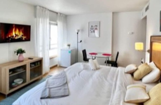Beautiful and bright studio in Madrid
