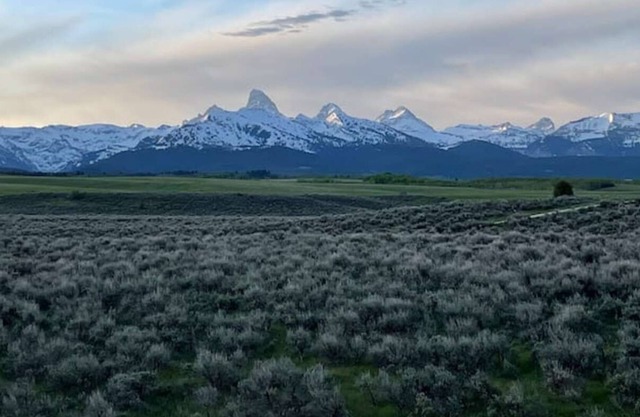 Beautiful Cabin Near Driggs/Jackson Hole/Yellowstone/GrandTetons