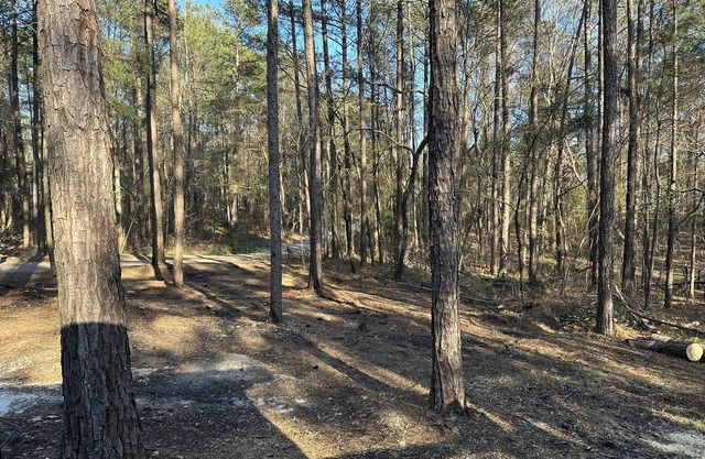Beautiful cabin within two miles of Lake Martin