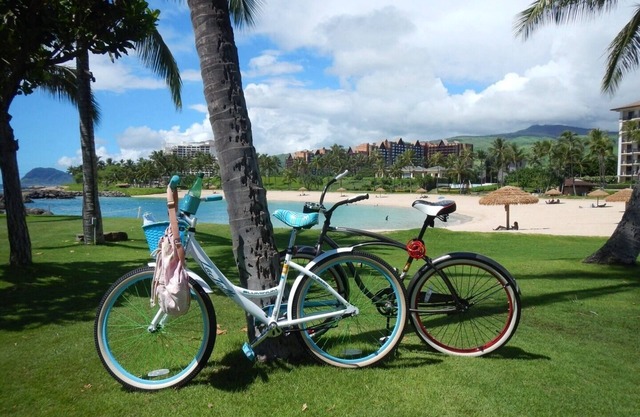 Beautiful ground floor Villa, Bikes, close walk to beach! Jan 5-Feb 3 now avail