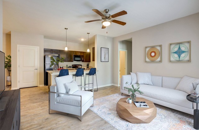 Beautiful Houston Apartment