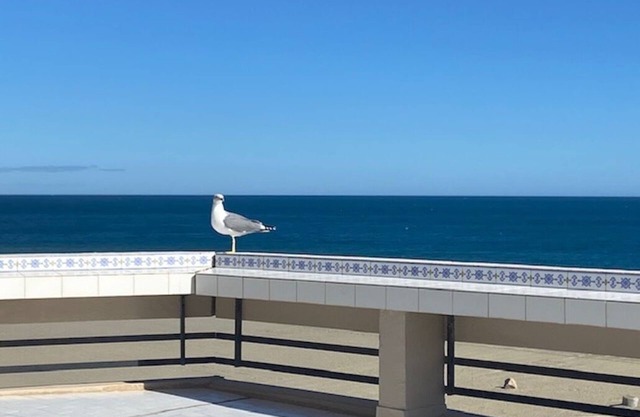 Beautiful luxury apartment Superb Sea View with large terrace
