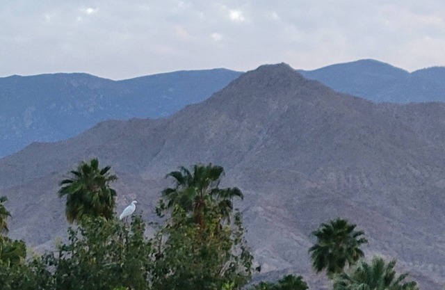 Beautiful Mountain Views, 2/2 Peaceful fully equipped condo w/3 pools