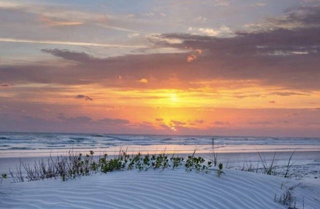 BEAUTIFUL ocean front/view 1 bed condo on NO DRIVE NSB, WIFI