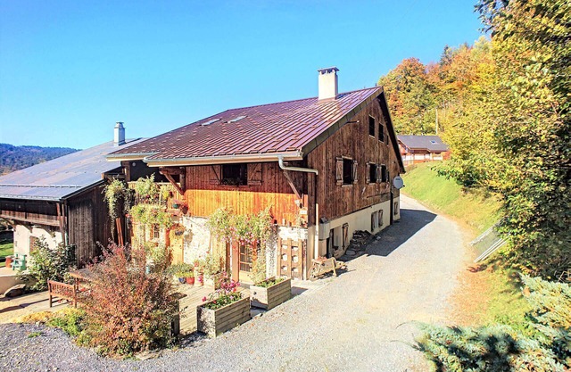 Beautiful renovated chalet near ski resort, France