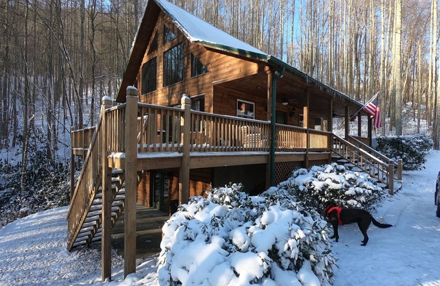 Beautiful secluded cabin on 40 private acres with stream for tubbing or fishing.