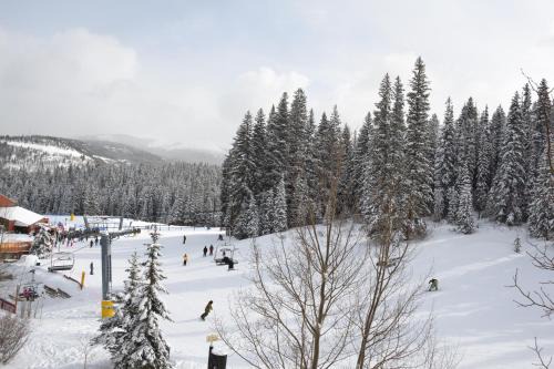 Beaver Run Resort 4332 by Great Western Lodging