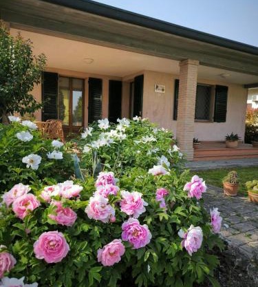 Bed and Breakfast La Contessa