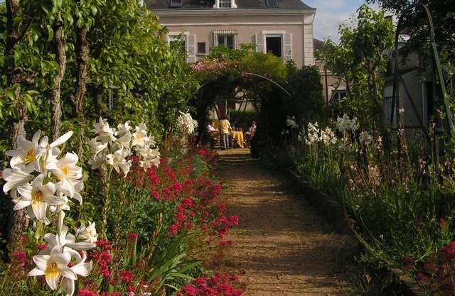 Bed and Breakfast in a character house in Châteaudun