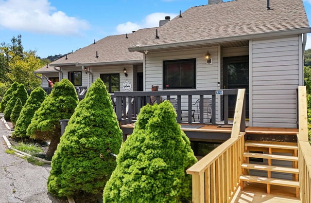 Beech Mtn Zen Family Friendly Sauna Sleeps 11