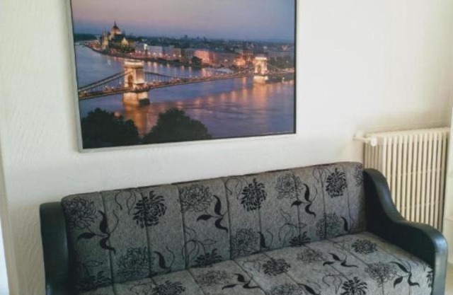 Belgrade River view 1