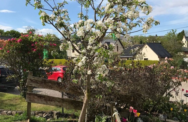 Ben Nevis Guest House