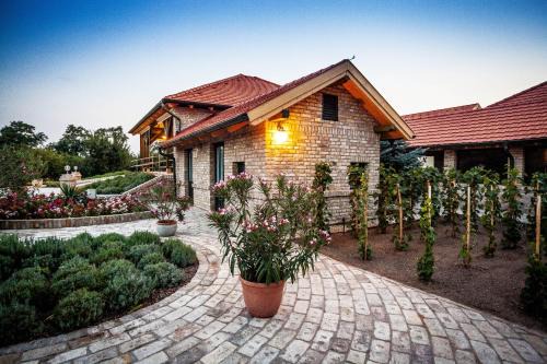 BÉNI family wine farm